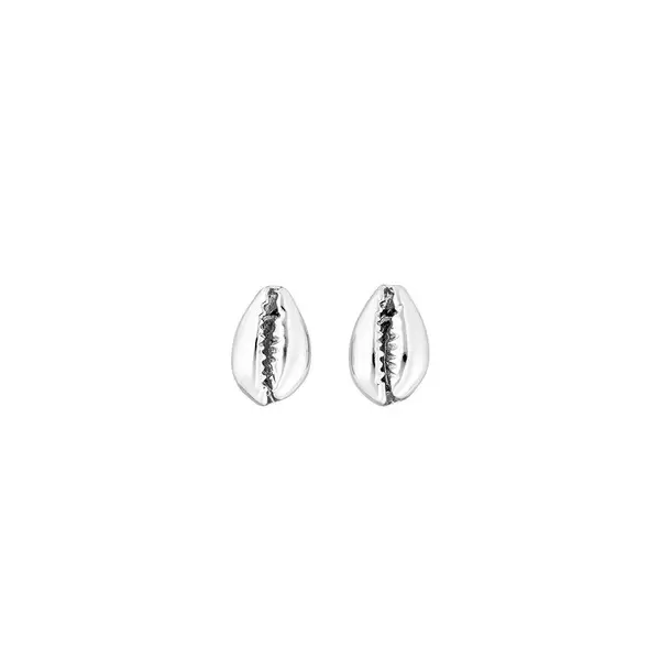 Leaf Jewelry Ohrstecker Cowrie Shell, 925 Sterlingsilber Neueste Mode