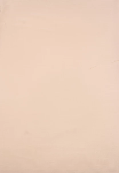 -50% SALE Leslii Damen-Schal Basic Uni-Schal beiger Fransen-Schal einfarbig in Beige Bis zu 50% Rabatt