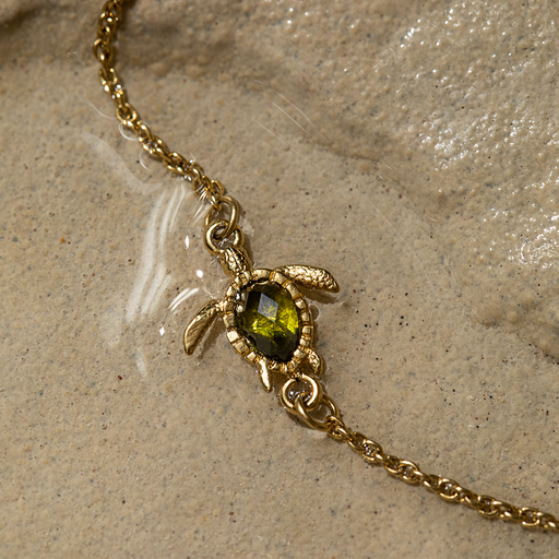 Paul Hewitt Turtle Mono Armkette Gold Sonderangebote