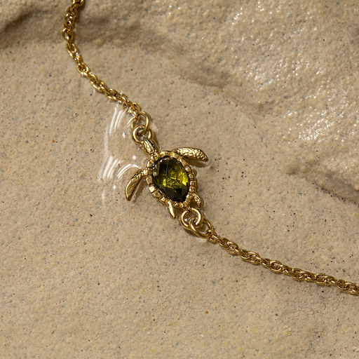 Paul Hewitt Turtle Mono Armkette Gold Sonderangebote