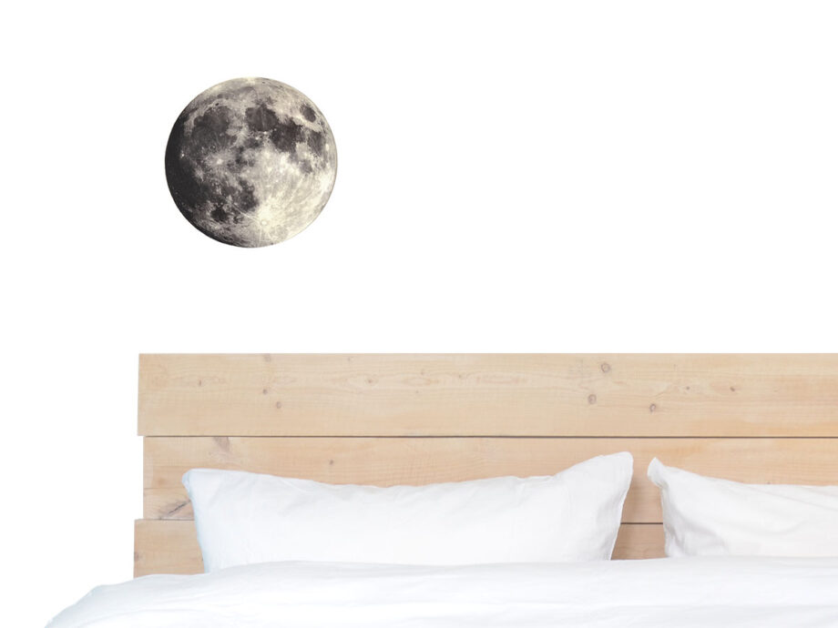 Renna Deluxe MOND Bild auf Holz Letzte 3 Tage