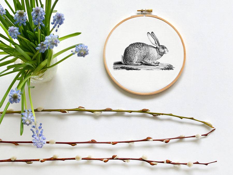 Renna Deluxe Hase _ Bild im Stickrahmen Online