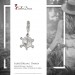 Silberdream SilberDream 925 Charm Schildkröte Armband Anhänger FC1001 Heißer Verkauf