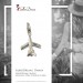 Silberdream SilberDream 925 Charm Flugzeug Armband Anhänger FC3043 Rabatte dieses Monats