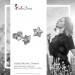 Silberdream SilberDream Ohrstecker Niete Stern 925 Sterling Silber Ohrring SDO8209J Blitzangebot